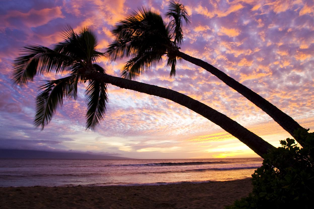 All Modern Technologies - Beach Hawaii Paradise